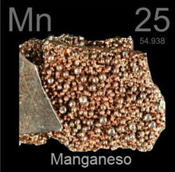 manganeso